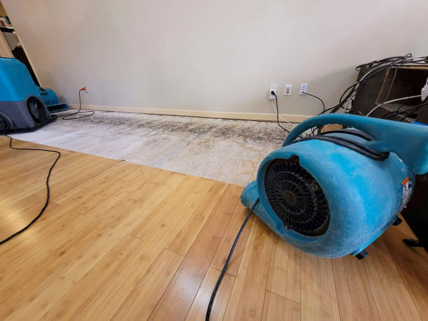 Professional Flood Damage Cleanup technician working in Leslie, MO